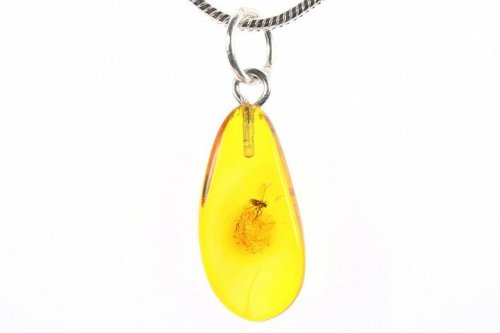 Polished Baltic Amber Pendant (Necklace) - Contains Fly! #273767